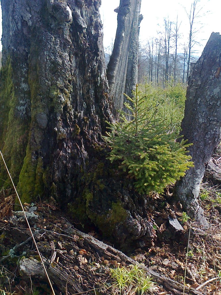 04