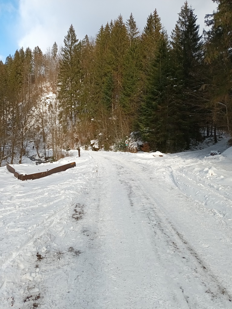 44